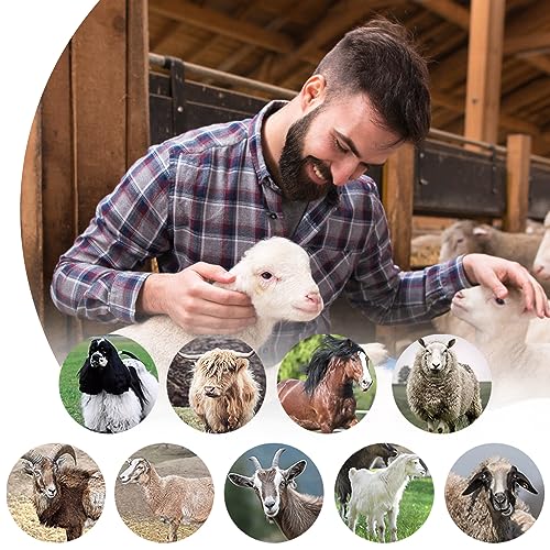 XIIW Sheep Shears 550W, Professional Electric Sheep Clippers, 6 Speeds | Farm Livestock Grooming Kit with 2 Sets of Blades, Heavy Duty Sheep Trimmer for Goats Cattle Thick Hair Dog Horse Animals - size: 550W Sheep Shears