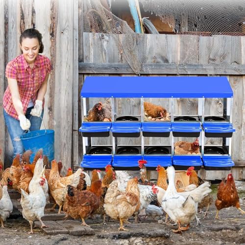 Chicken Nesting Box,10 Hole 2 Layer Hen Nest Boxes, Roll-Away Egg Collection System with Ventilation Holes，Rustproof Plastic Tray & Keyhole Mounting, Chicken Laying Box - color: Blue, size: 10 holes