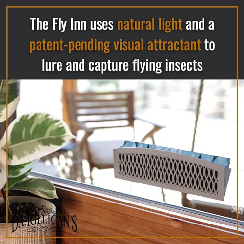 Dr. Killigan's Sticky Window Fly Traps Indoor, 2 Traps + 4 Inserts | Indoor Insect Trap, Catches and Hides Bugs, Looks Better Than Fly Paper or Fly Ribbon