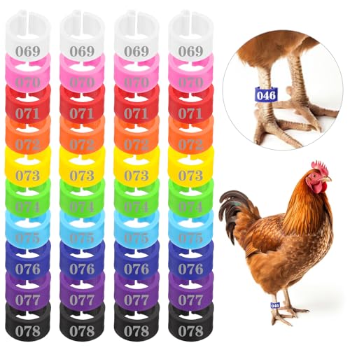 ElevateTech 200PCS 8mm Coturnix Quail Leg Bands Chicken Identification Band Bands Chicken Leg Band Rings Clip-On Round Tags Poultry IdentificationBand