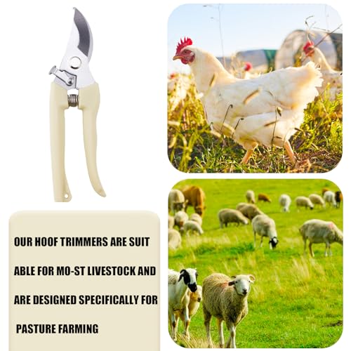 BOXOB Goat Hoof Trimmers, Stainless Steel Goat Toe Trimming Tool with Spring Hoof Shears Sheep Nail Clippers for Sheep Pigs Horses Livestock Nail Scissors and Garden Potted Tree Pruner Plant Pruning