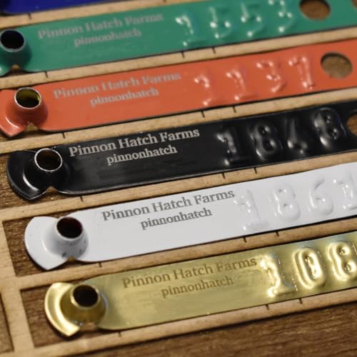 Pinnon Hatch Farms Custom Engraved Aluminum Leg Bands Chicken Poultry Duck Peacock Leg Rings Identification Tags Text and/or Artwork (100, Black) - color: Black