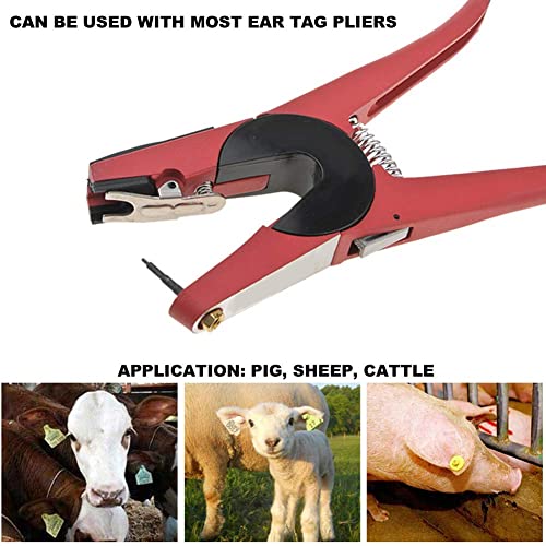 Ear Tag Nail, 2Pcs Ear Tag Pin Universal Livestock Identification Tool Ear Tagger Needle Marking Tools for Pig Cattle Sheep(Chiodo per marchio auricolare elettroforetico)