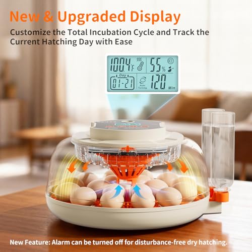 APDOE Egg Incubators for Hatching Eggs, Temperature and Humidity Control, Automatic Egg Turning, Egg Candler, External Water Bottle, Air Vent, for Chicken, Duck & Quail Eggs, 18 Eggs - color: White + Orange, size: 18 Eggs + 8 Large Eggs