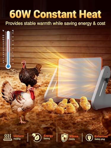Ficuswin Brooder Heater for 20 Chicks, Chicken Heating Brooder Plate with 3 Adjustable Temp Settings, Safe Coop Heater for Poultry Cage Warmer, 16"x10" Energy Efficient Radiant Heat Pad(ETL Compliant)