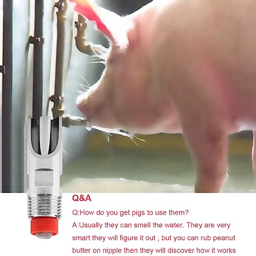 Pack of 10 Pig 1/2" NPT Pig Nipple Waterer for Barrel Kit Stainless Steel Automatic Pig Waterer with Filter Pig Nipple Drinker for Sows Piglets Dogs