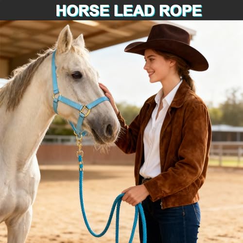 5/8" x 8' Nylon Horse Lead Rope with Cast Iron Hardware(Lake Blue) | Durable nylon material, cast iron hardware, ideal for daily use, training and showing. - color: Lake Blue