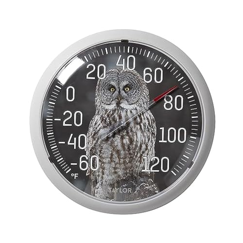 Taylor Nature Series Indoor Outdoor Owl Thermometer, Easy to Read Wall Decor for Patio, Pool, Yard, Garden or Garage, 13.25 Inch, Gray Bezel - style: Owl