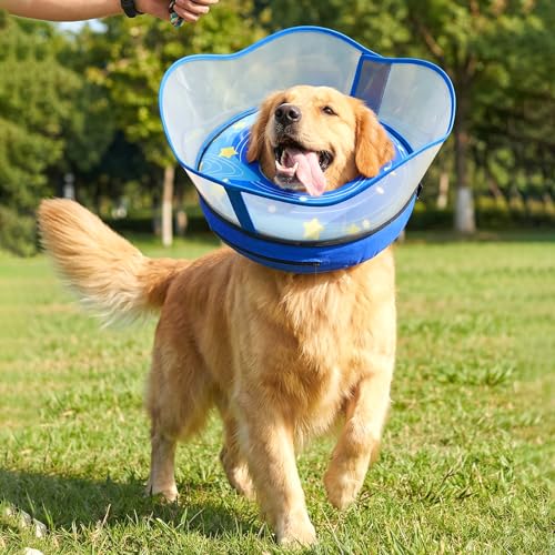 EMUST Raised Inflatable Dog Cone Collar to Stop Licking, Dog Donut Collar | Upgraded Transparent Protective Cover, Effectively Preventing Dog From Licking Wounds, without Affecting Eating or Activities - color: Blue, size: XL (Neck 15"-19")
