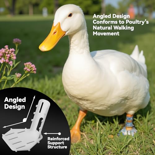4 Sizes Poultry Leg Support Kit for Chicken, Bird, Duck, Goose