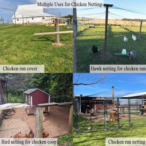 Bird Netting for Chicken Coop 25x100 FT, 1" Chicken Run Cover Net | Woven Coop Netting Roof Against Hawk, Eagle, Owls, Bird Netting for Garden, Fruit Trees, Plants, Vegetables Protection - size: 25x100 FT