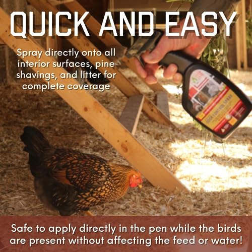 Chick Fresh Odor Eliminator for Backyard Chickens. Makes 1 Gallon of Solution Eliminates Coop, Brooder Odor, Etc. Concentrate w/ 128 oz Empty Sprayer (2 gallons) - size: 2 gallons