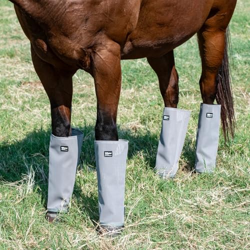 Cashel Crusader Leg Guards (Set of 4) - color: Grey