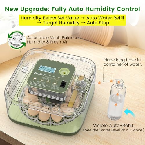 12 Egg Incubator with Automatic Turning, Auto Water Refill & Temp/Humidity Control, Plus Hatching Guide, Digital Hatcher for Chicken, Duck, Quail, Pigeon Eggs & More - color: Green, size: 12 Egg