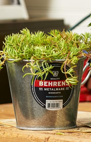 Behrens 1202 Galvanized Steel Pail, 2-Quart (12-Pails) - style: 12 Pails