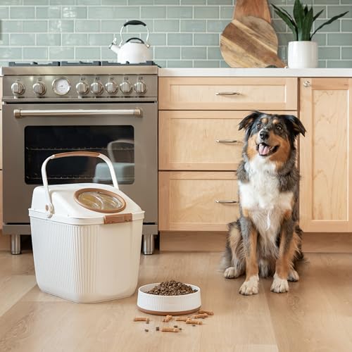 Harry Barker Large Modern Dog Bowls, 2-Pack Eco-Friendly Plastic Pet Food & Water Bowls, Non-Slip Base, Dishwasher Safe, BPA-Free, Neutral Design, Holds 9 Cups Each - color: Large Bowls