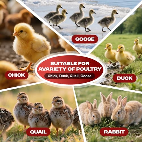 Brooder Box for Chicks, Portable Chicken Brooder Kit with Pad, Storage Bag & Pegs, Pop-Up Chick Starter Pen for Indoor Outdoor Use, Fits Up to 15 Baby Chicks or Ducklings