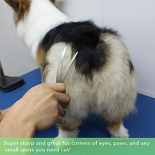 HASHIMOTO Curved Scissors for Dog Grooming, 6.5 inch, Extremely Lightweight | Ultralight Aluminum Handles, 440C Stainless Steel, 30 Degree of Curved Blade - size: 6.5", style: Curved (Super Lightweight)