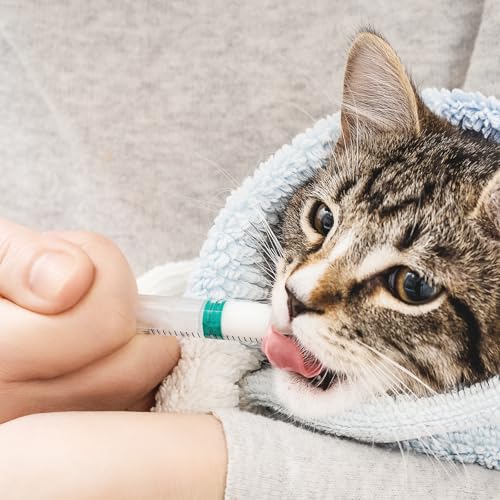 Bird Feeding Syringe Set with Tubes, 5ml+10ml+60ml | Pet Feeding Syringe, Plastic Syringes for Breeding Small Pets, Oil or Glue Applicator, 5ml+10ml+60ml Feeder+9cm Feeding Tube