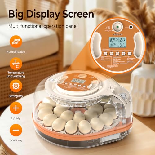 Incubators for Hatching Eggs, 26 Eggs Incubator with Automatic Egg Turning, Temperature & Humidity Control, Auto Water Refill, LED Egg Candler, Hatch Days Setting, for Chicken, Duck, Goose, Bird Eggs - color: Clear