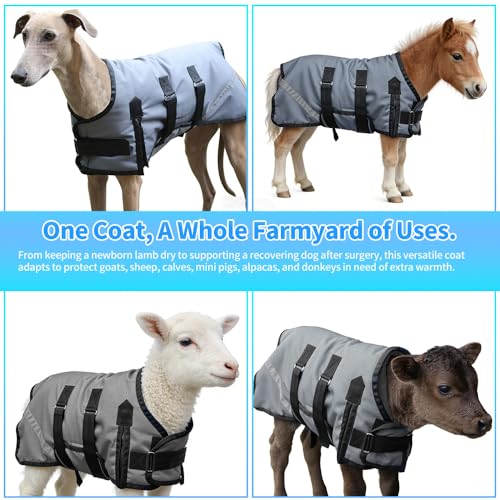 Goat Coat, Winter Livestock Blanket for Goats, Sheep, Calves, Dogs, Mini Pigs & Donkeys with Reflective Strip, Adjustable Farm Animal Coat, 1200D Waterproof 150g 28.68" Back (Gray, Medium) - color: Gray, size: Medium