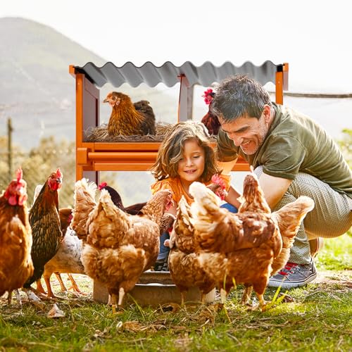 4-Compartment Chicken Nesting Boxes for Laying Eggs, Premium Pine Wood Design Without Sharp Edges, Weather-Resistant Sloped PVC Roof Laying Boxes for Hens, Spacious for Large Breeds