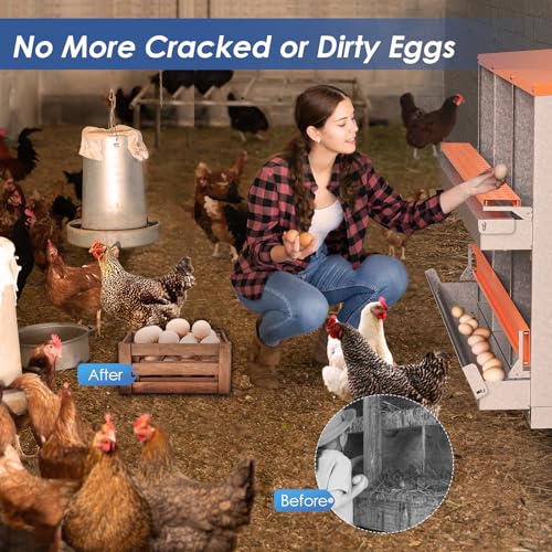 Chicken Nesting Box, 6 Compartment Metal Nesting Boxes for Chickens Laying Eggs, Rust Proofed Nest Box with Roll Away Egg Collection Laying Box for Chicken Coop