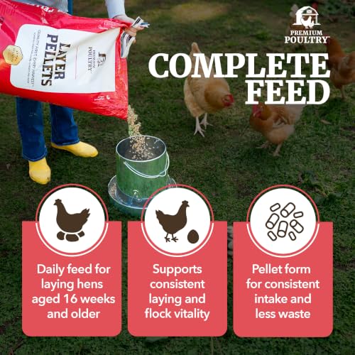 Chicken Layer Feed Pellets, 16% Protein, 40lb, Made in USA | Supports Consistent Egg Production, Strong Eggshells, Calcium Absorption & Vitamin D3, Ideal for Backyard Flocks - size: 40lb (Pack of 1), style: Layer Pellets