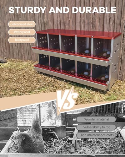 10-Compartment Chicken Nesting Box, Heavy Duty Galvanized Steel Poultry Nest Box, Wall Mount/Freestanding Design for Hens, Ducks, Backyard Homesteads & Farm Use, Red, with 10 Eggs, No Stand - color: Red, size: 10 Room&eggs