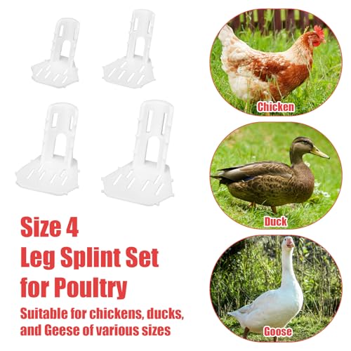 Penitue 4pcs Poultry Leg Splint Set, Poultry Broken Splayed Foot Support Curled Toe with 2 Bandages 10 Long Cable Ties & 10 Short Cable Bands for Real Chicken Duck Goose Accessories