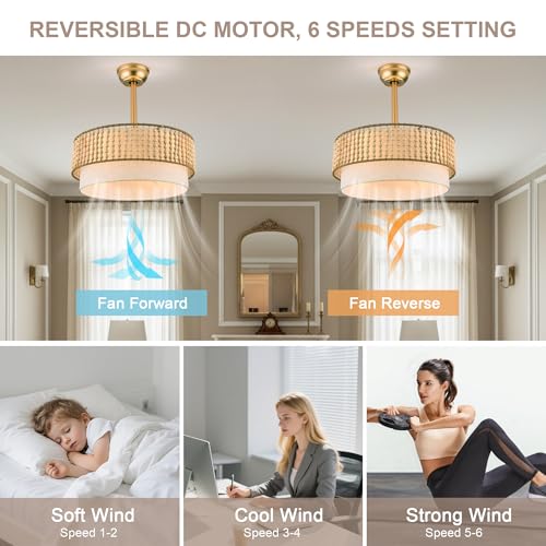 20" Gold Fandelier Ceiling Fan with Lights Boho Caged Ceiling Fan | Small Enclosed Fabric Chandelier for Bedroom Nursery Living Room, Reversible DC Motor 6 Speeds, 4 E26 Bulbs (Not Included) - color: Double Layer