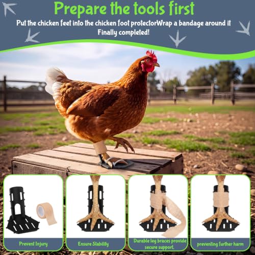 Xuhal 8 Pack Poultry Leg Support Kit with Toe Separator & Bandage 4 Sizes Chicken Splint for Broken Feet & Curled Toes Fixing Fractures, Curled Toes, Bumblefoot in Ducks, Chickens, Geese (Black) - color: Black