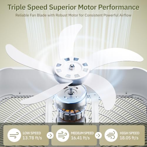 Xcity 20 Inch Box Fan with Carry Handle, Portable Powerful and Quiet 3-speed Floor Fan with Protection Net, Durable 70W Lightweight for Bedroom, Commercial, Study, Home - size: Box Fan 20" White