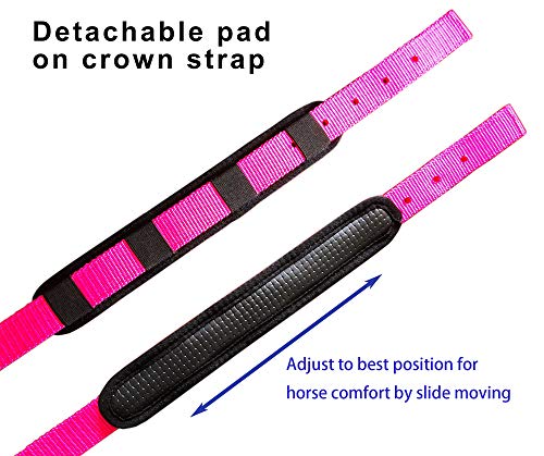 T TEKE Adjustable Horse Halters by Heavy Duty Soft Nylon, Padded with Anti-rubbing Waffle Neoprene on Both Crown & Nose - color: Purple, size: XXS Pony