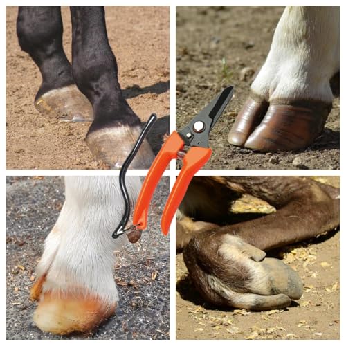 Hoof Trimming and hoof rasp Tools for Goats, Horses,Durable Carbon Steel Farrier Tools