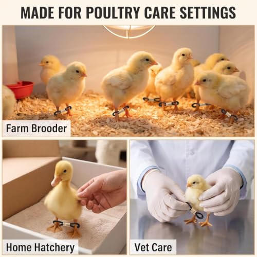50 Pcs Black Baby Chick Splay Leg Hobble Chicken Leg Bands,Adjustable Chicken Hobble Braces for Spraddle Leg Repair Poultry Care Supplies,Bird Ducks Newly Hatched,Poultry Feeding and Watering Supplies