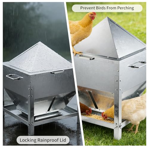 Automatic Chicken Feeder, 80lb Large Capacity Chicken Feeder, No Waste Gravity Poultry Feeder with Legs and Rain Proof Lid, Metal Outdoor Poultry Feeders for Hens, Ducks, Roosters, Free-Range Coops