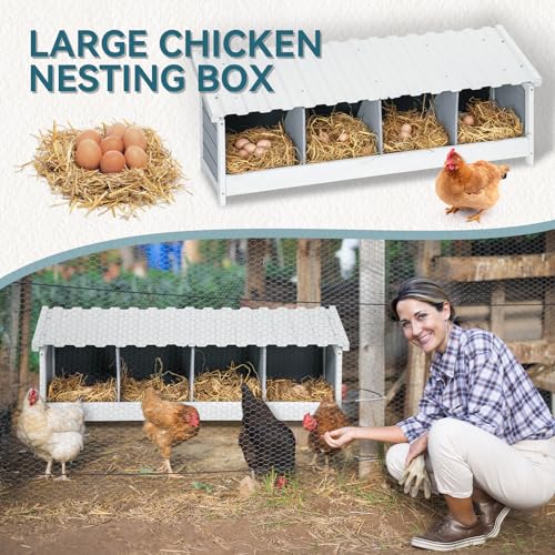 PETSFIT 4 Holes Chicken Nesting Box, PVC Waterproof Roof, Privacy Cover | Wall Mounted or Floor Use, Natural Fir Wood, Easy to Assemble and Clean, For Backyard Coops and Farms, Fits Standard Hens - size: 4 Holes