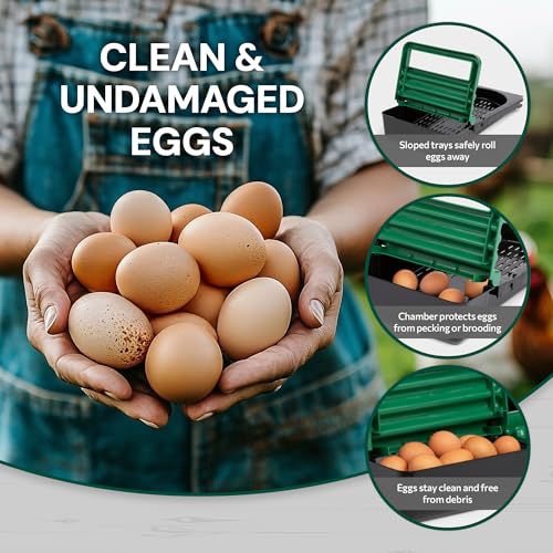 2-Compartment Reverse Roll Away Chicken Nesting Box for 10 Hens, Classic | Exterior Egg Collection, Clean & Protected Eggs, Removable & Washable Trays, Weatherproof Galvanized Steel, Well Ventilated
