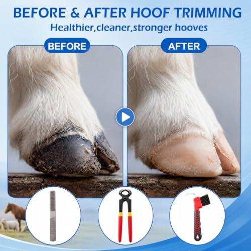 8Pcs 8" Farrier Tool Kit, Hoof Rasp Nipper Trimmer Brush Calf Sling | 8" Hoof Nipper, 300lb Capacity Adjustable Weighing Sling, Storage Bag Included, for Goat, Pig, Sheep, Donkey, Equine, Alpaca - style: Complete Hoof Care Kit
