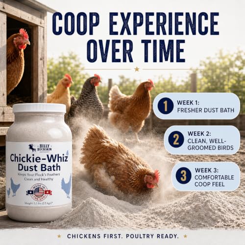 4 x 5.5lb Chickie Whiz Dust Bath, All-Natural Chickie Whiz Dust Bath Powder for Chickens for Healthier Chicken Eggs, Clean, Healthy Chickens Other Small Pet Animals by Billy Buckskin Co. - size: 4 x 5.5 LB