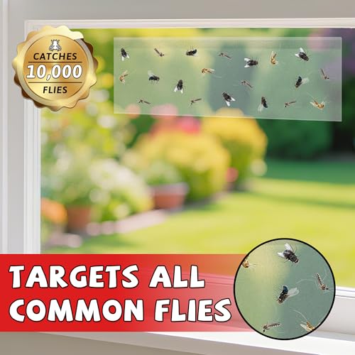 LULUCATCH Window Fly Trap, 12 Pack Fruit Fly Traps for Indoors, Sticky Gnat Trap Bug Trap, Non-Toxic Odorless Flying Insect Trap, Pet Safe Bug Catcher for Fruit Fly, Mosquitos, Fungus & Flying Insect