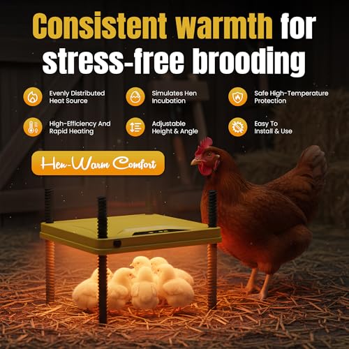 Heating Plate for Chick Brooder Adjustable 75W Chicken Heat Plate 10 x 10 Inch Warmer Brooder Heater for 10-12 Chicks ABC Plastic Material