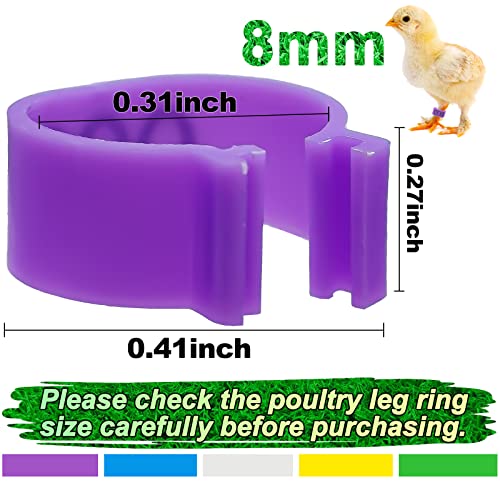Keedolla 8mm 100Pcs Pigeon Leg Bands Bird Foot Rings with 5 Colors, Pigeon Bands Clip On Leg Rings Poultry Tags for Chicks Bantam Finch Dove Lovebird Quail Small Birds - size: 8mm - 5 Colors