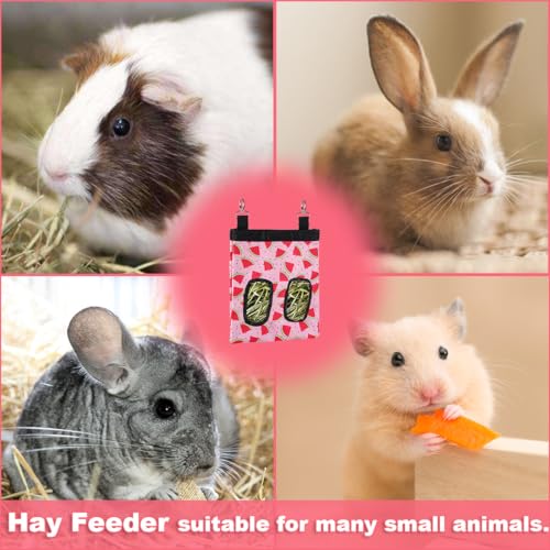 DZWLKJ Rabbit Hay Feeder, 600D Polyester, Watermelon, Hay Feeder Bag, Guinea Pig, Chinchilla, Hamsters, Small Pets, 1 Pack, Foldable, Lightweight - size: S -10"x 8"x 0.4"