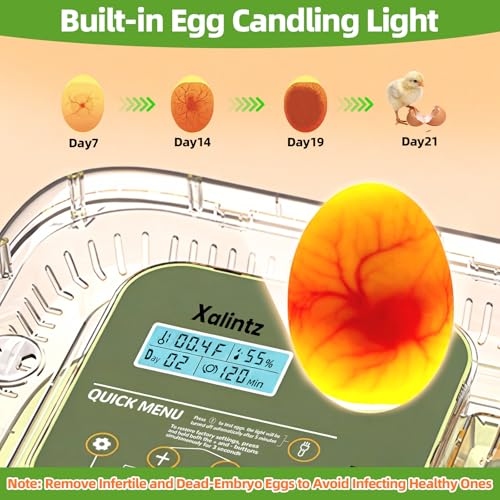 12 Egg Incubator for Hatching Eggs with Automatic Turning, Temperature & Humidity Display, Egg Candler, and Hatch Day Alert - Ideal for Chicken, Duck, and Quail Eggs