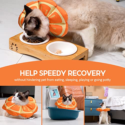Avont Soft Adjustable Cat Recovery Collar, Cute Elizabethan Cone for Pets, Mandarin M
