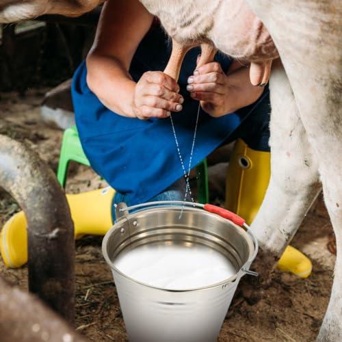 1pc Milk Bucket Multi-Purpose Bucket Multi-Functional Pail Durable Pasture Storage Stainless Steel Round Water Ice with Lid Ranch Milking