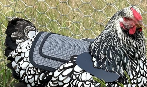 DOWN UNDER OUTDOORS 2 Small Bantam or Young Chicken Saddles (Gray Mesh) | Adjustable Straps, Chicken Apron, Poultry Saver, Pet Supplies, Including Shoulder Cover, Heavy Duty Shade Cloth Mesh - color: grey mesh