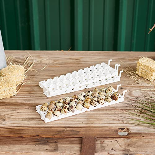 Farm Innovators 4250 Heated Digital Circulated Air Incubator with Automatic Egg Turner and 6 Pack of Small Egg Tray Rail with 20 Egg Capacit
